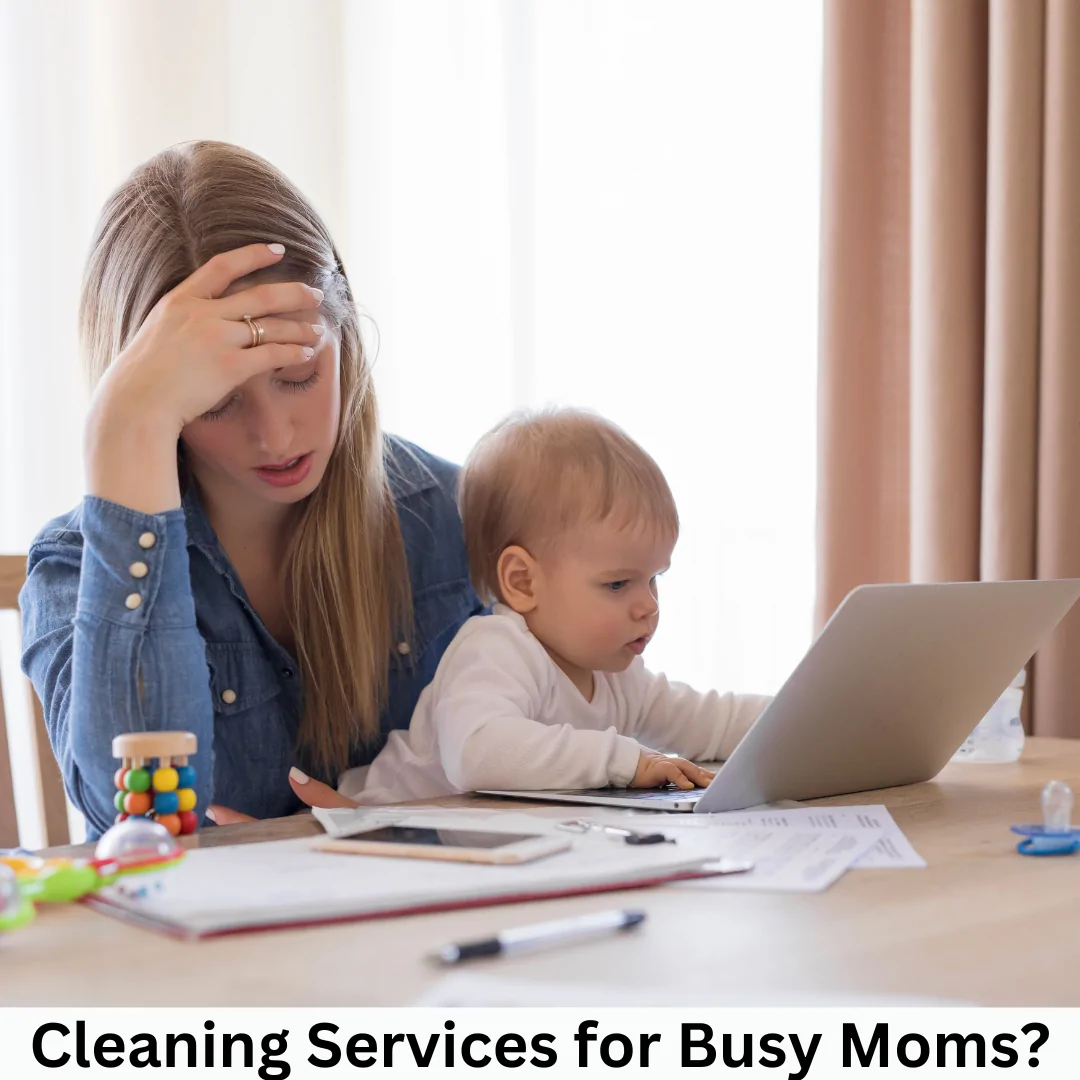 Professional house cleaning team in Carmichael California