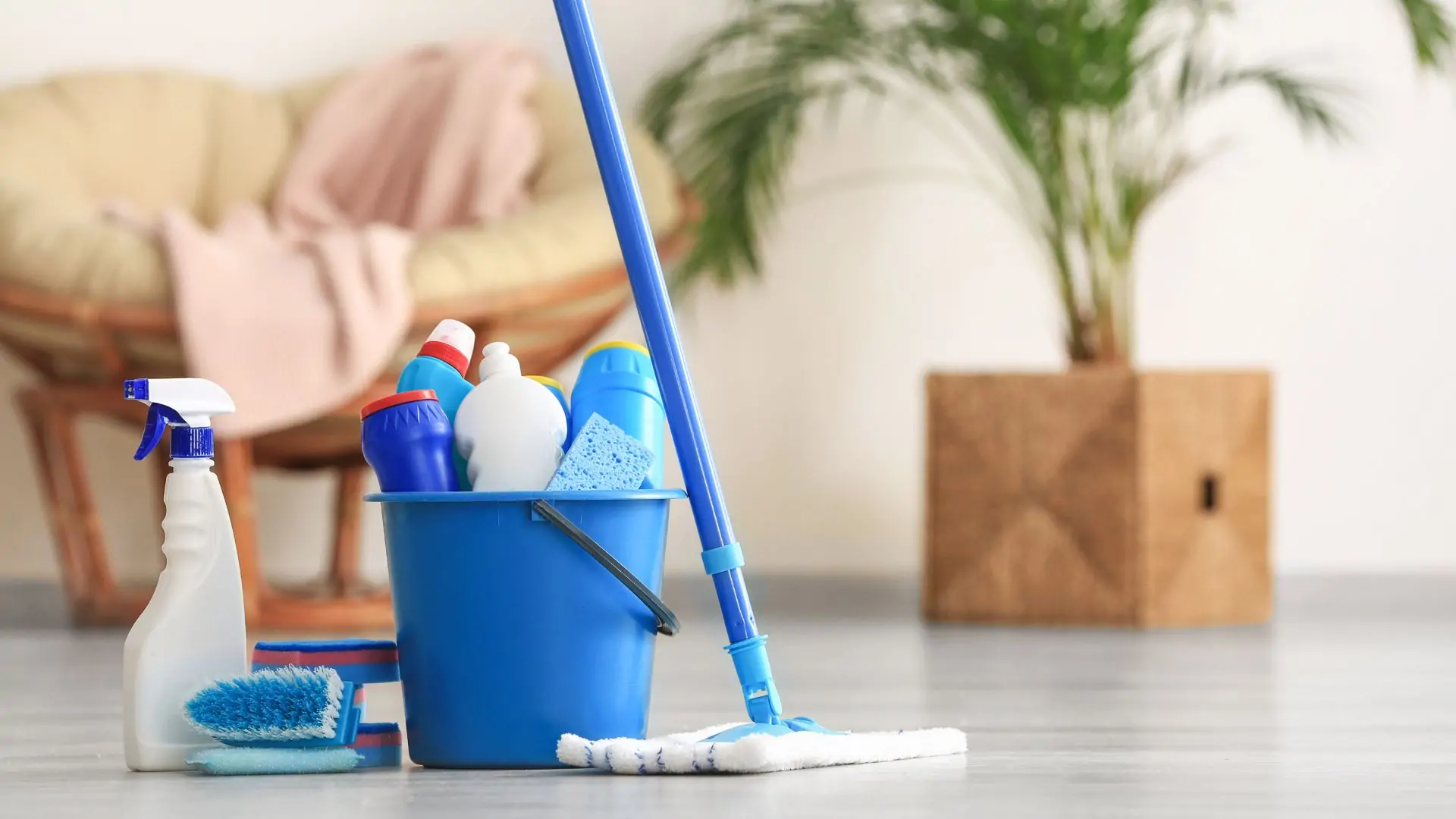Why Consistency Wins professional cleaning service in Natomas CA