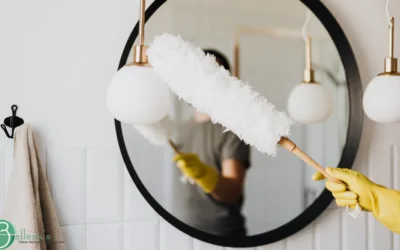 Images for bloog (1) Professional house cleaning service in Gold River, CA - How to Prevent Spring Dust in Gold River, CA Homes