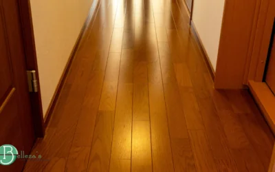 Images for bloog (3) Protect Your Floors During Busy Months | Gold River, CA - Bellezas Home Services blog