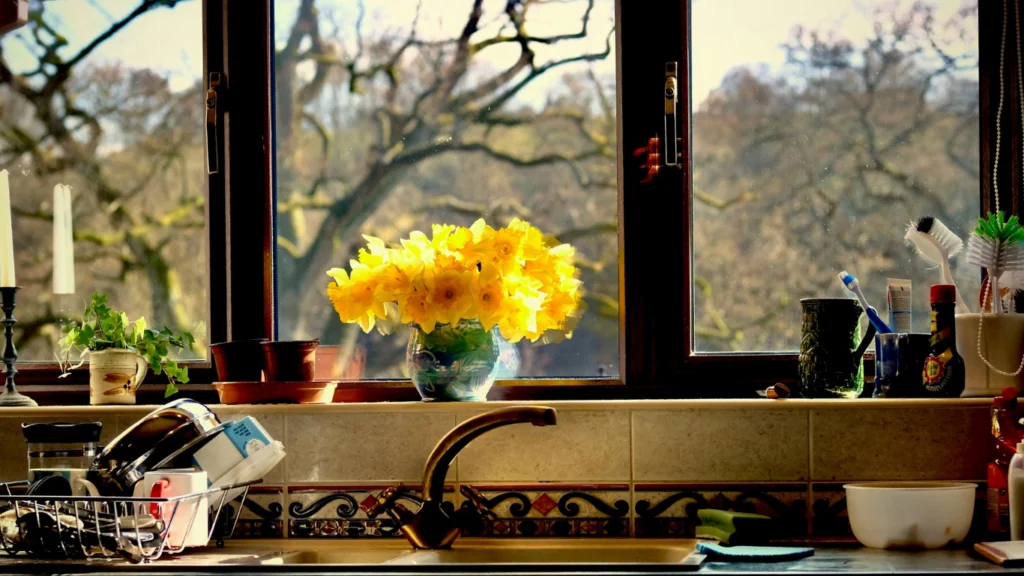 Why Kitchens Need Extra Attention During Spring Months - Bellezas Home Services blog