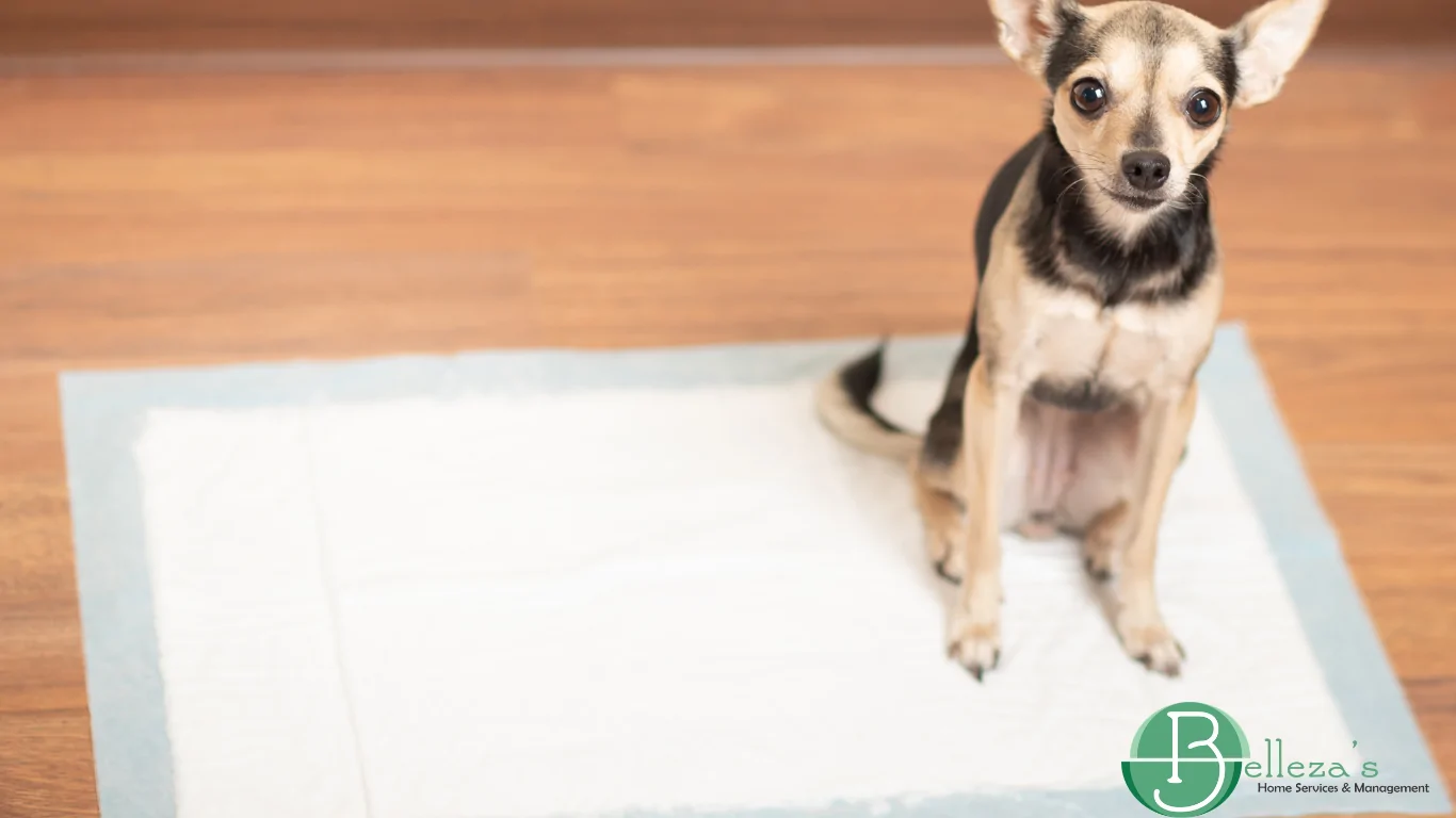 Professional house cleaning in Sacramento - Belleza's Home Services
