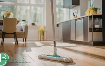 Design sem nome (2) Why Living Rooms Collect More Dust During Spring in Gold River, CA - Gold River home cleaning tips