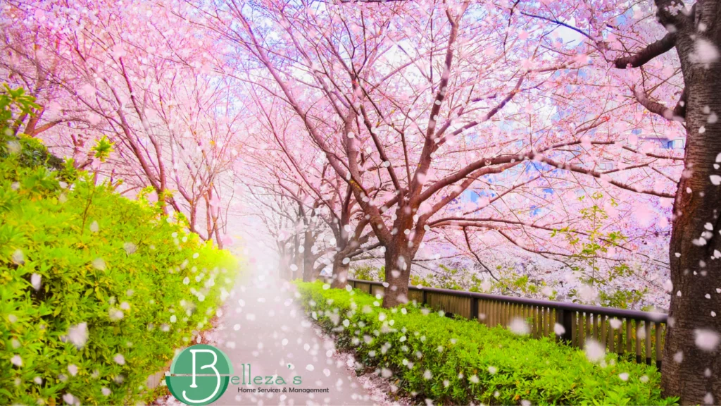 Why Entryways Get Dirtier in April in Gold River, CA - April in Gold River home cleaning tips